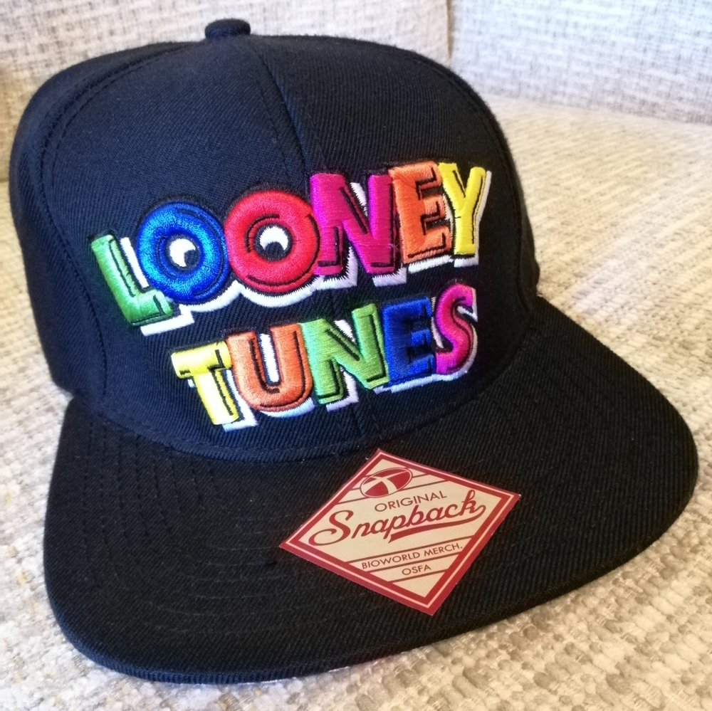 Looney Tunes Embroidered Rainbow Original Snapback. Unisex. NWOT. - Picture 3 of 7